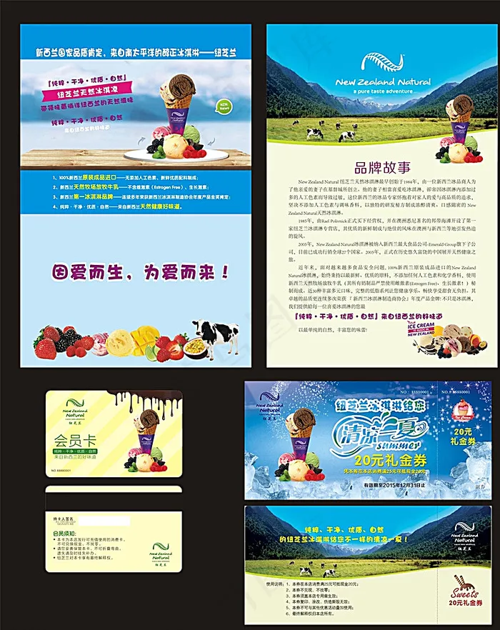 纽芝兰冰淇淋 单页 优惠券图片cdr矢量模版下载