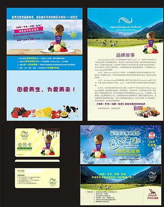 纽芝兰冰淇淋 单页 优惠券图片