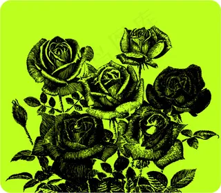 钢笔画风格玫瑰花矢量素材