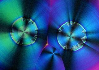 蓝色放射状细胞