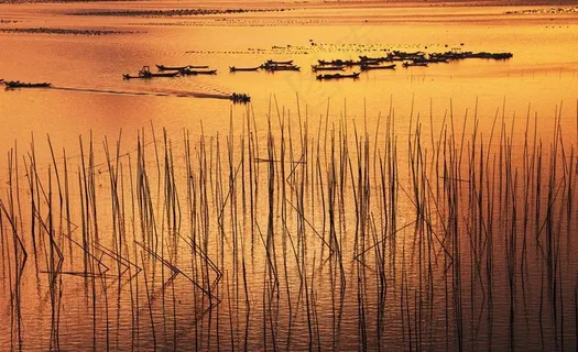 馒头山霞浦海滩图片 馒头山霞浦海滩图片