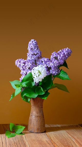 花瓶与花高清摄影图片