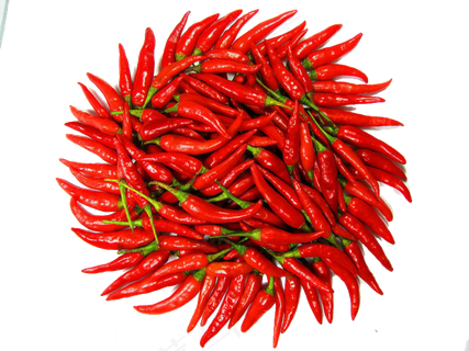 红色麻辣辣椒海报PNG图片素材