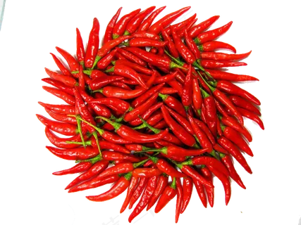 红色麻辣辣椒海报PNG图片素材