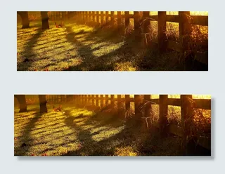 唯美的秋季树林风景素材