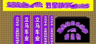 五星钻豹电动车图片