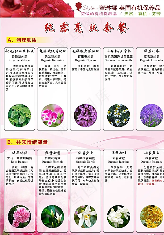 美容套餐宣传图片cdr矢量模版下载