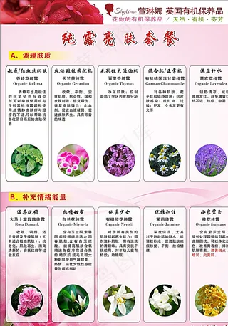 美容套餐宣传图片