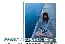 白色美图文字素材 是爱 是不舍图片