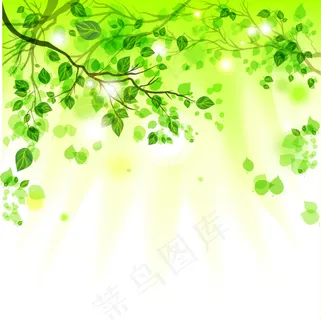 春季绚绿树叶背景矢量素材