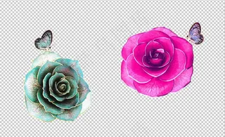 玫瑰花 标本 镶边 真玫瑰 饰品图...