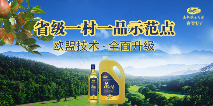 山茶油