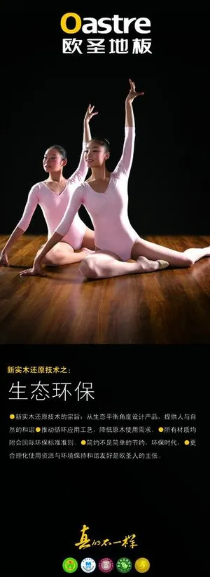 欧圣地板图片