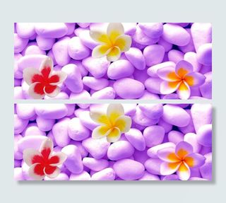 石头花 梦幻背景图片