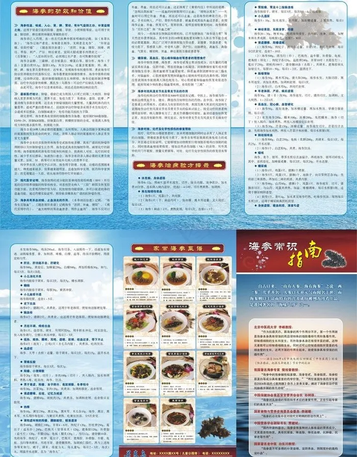 关东岛海参知识三折页图片cdr矢量模版下载