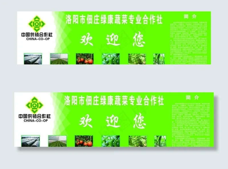 蔬菜专业合作社海报图片(12441X4094(DPI:40))psd模版下载