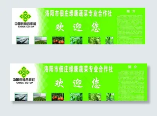 蔬菜专业合作社海报图片