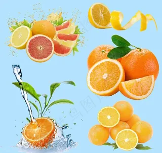 橙子图片