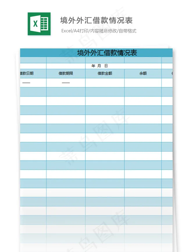 *外汇借款情况表