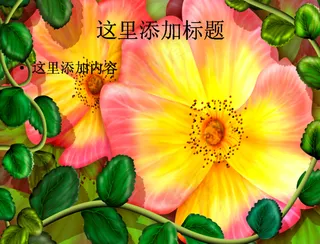 电脑ppt封面炫彩风光插画背景图...