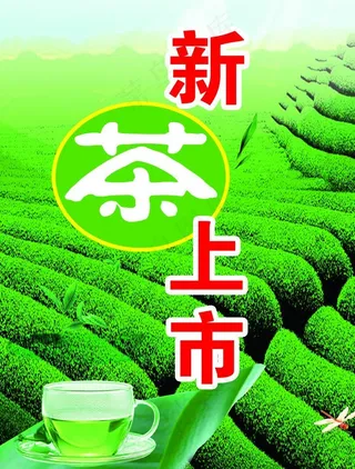 新茶上市图片