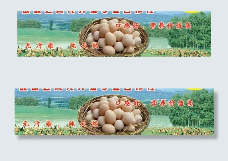 笨鸡 笨鸡蛋图片psd模版下载