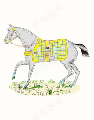 马手绘插画无框画素材植物花卉马鞍