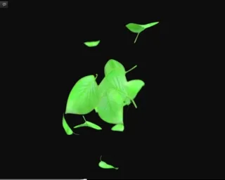 植物生长素材下载