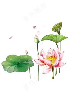 手绘水墨画荷叶元素