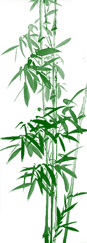 唯美古风花朵树木PNG免扣素材