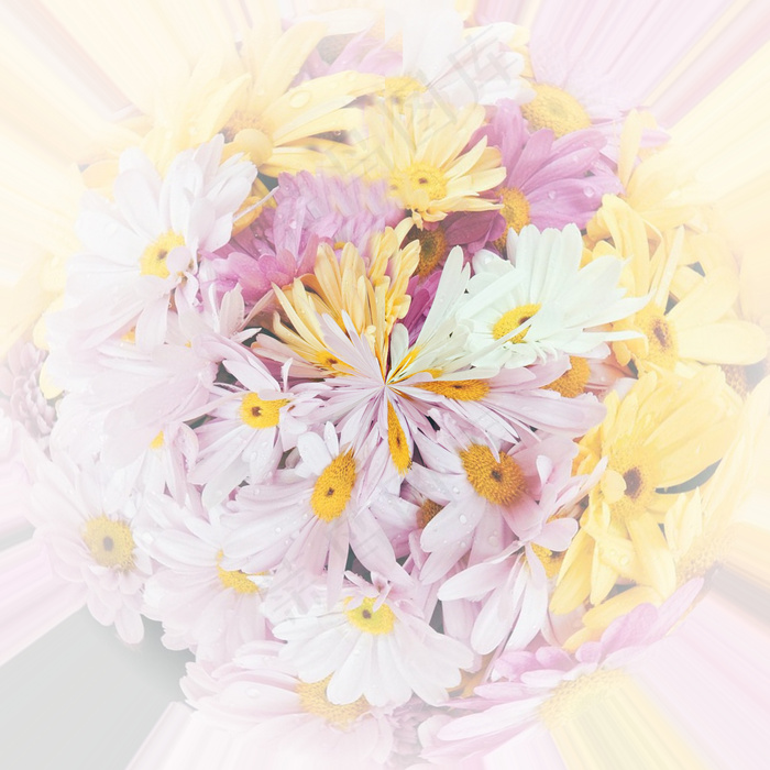 小清新花球