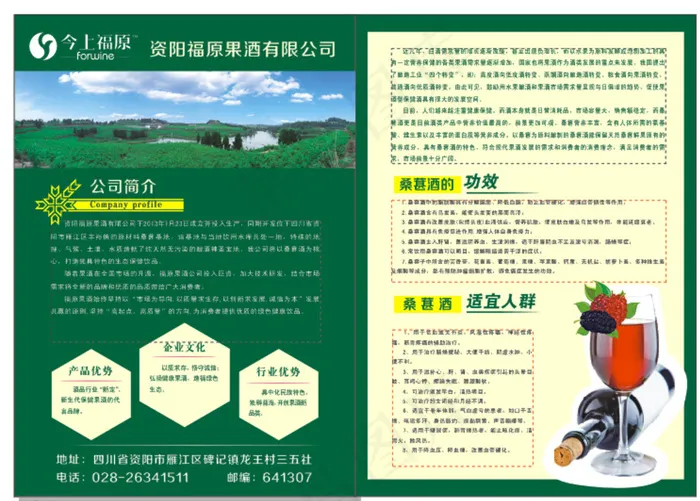 桑葚酒宣传单图片cdr矢量模版下载