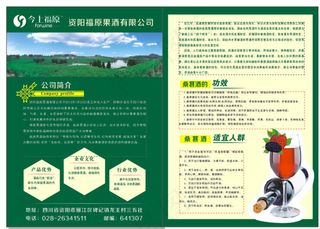 桑葚酒宣传单图片