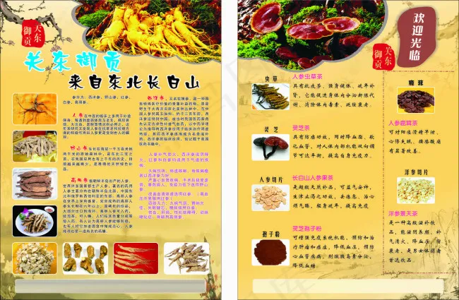 东北御贡彩页(420X297)cdr矢量模版下载