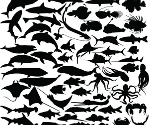 海洋生物剪影图片