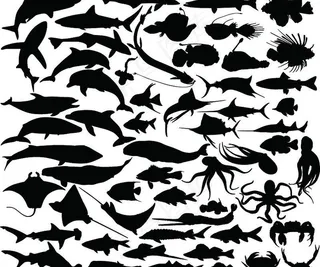 海洋生物剪影图片