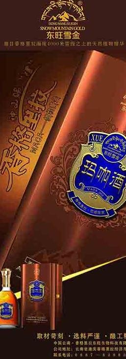 玛咖易拉宝图片(1134X2835(DPI:36))psd模版下载