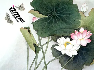 高清电脑桌面背景壁纸