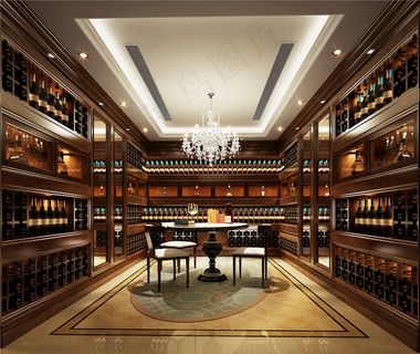 欧式豪华酒窖酒柜设计图