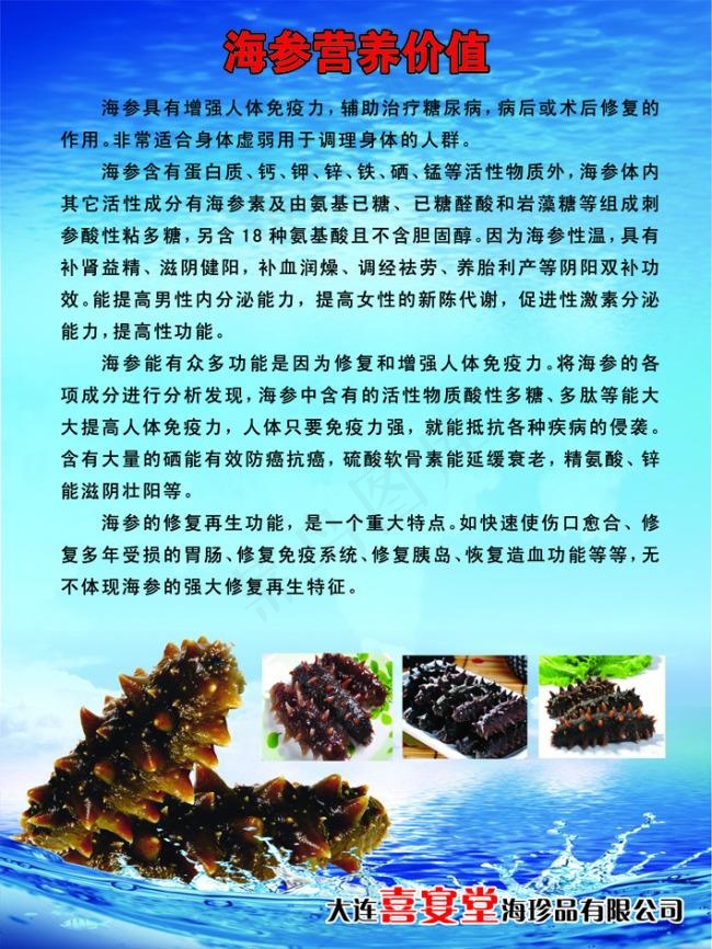 海参营养价值psd模版下载