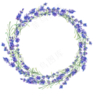 水彩花朵花卉花环花边花纹夏季免扣设...