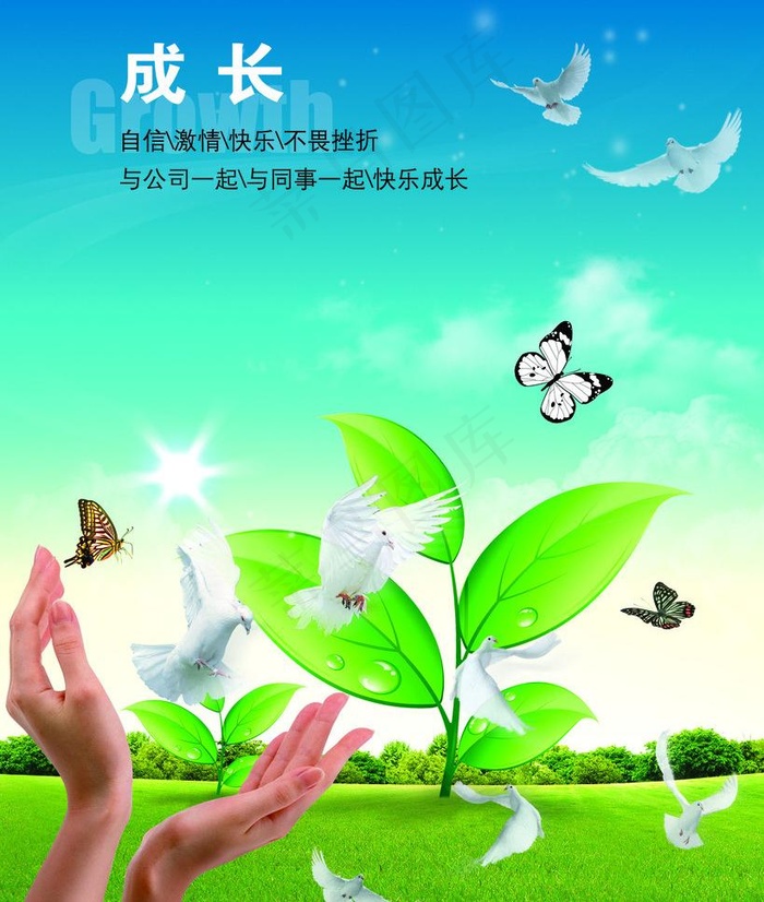 放飞成长图片