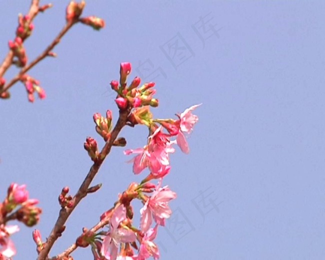 视频短片