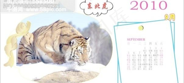 2010台历东北虎-9月cdr矢量模版下载