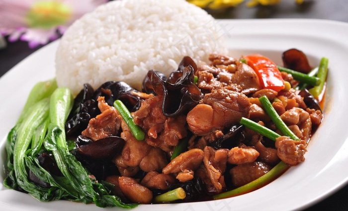 红烧鸡块饭图片