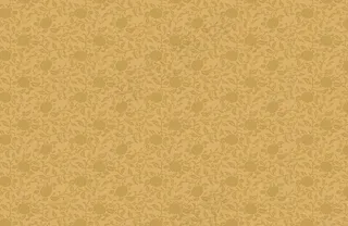 传统高档底纹图片