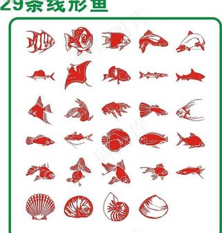 29条线形鱼图片