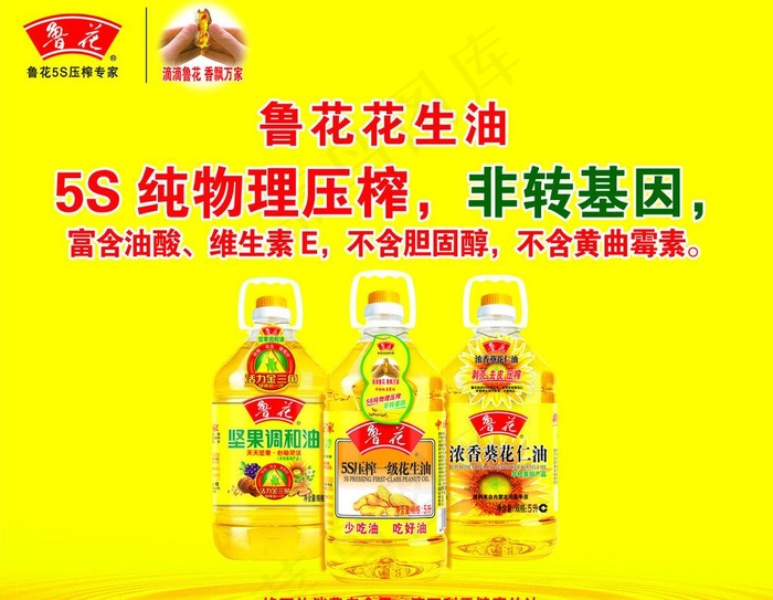 鲁花花生油图片psd模版下载