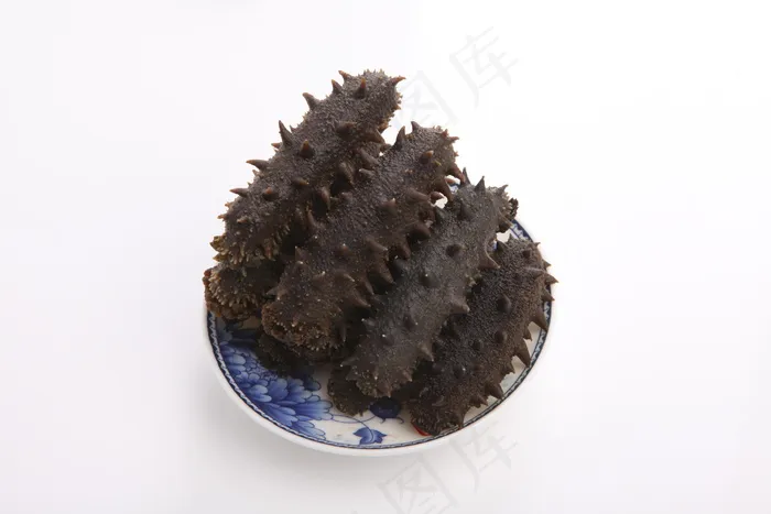海参图片