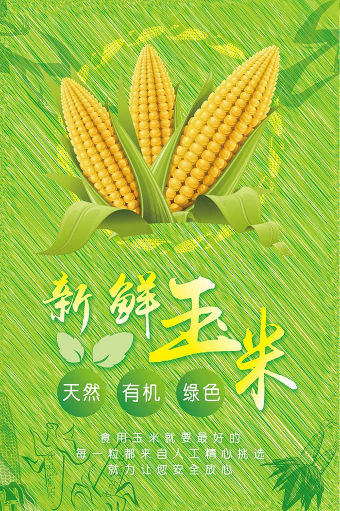 玉米海报1(3543X5315(DPI:150))psd模版下载